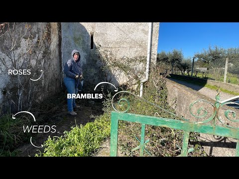 Clearing Our Overgrown Front Garden - TIMELAPSE