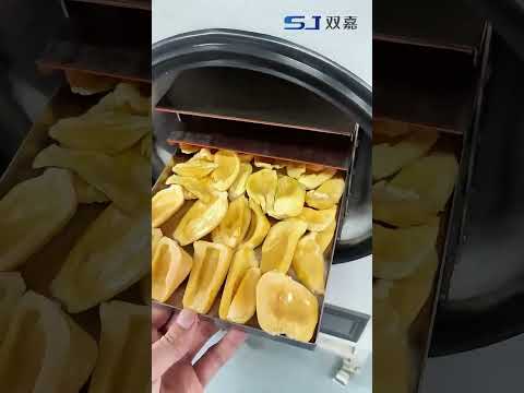 Jackfruit Freeze Drying in an H Series Food Freeze Dryer — SJ Scientific video preview