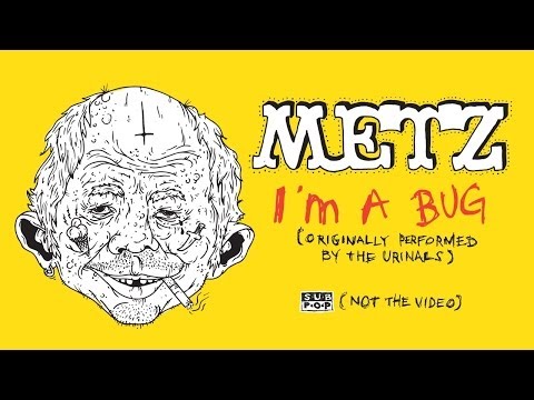 METZ - I'm A Bug (Urinals cover)