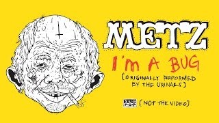 METZ - I'm A Bug (Urinals cover)