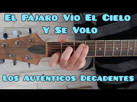 El Pajaro Vió El Cielo Y Se Voló - Los…