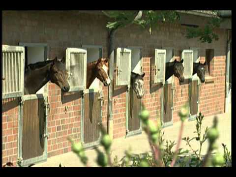 Imagefilm Hof Bruening Ochtmannien