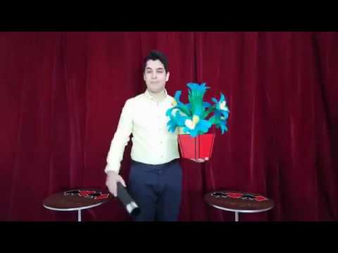 Tora Fire to Colorful Flower Vases 4 Times