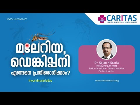How to prevent malaria and dengue?