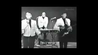 The Kingsmen - Jolly Green Giant - Little Latin Lupe Lu 1965.mp4