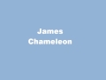 James - Chameleon