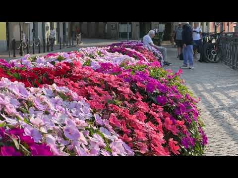 Bellano LC (9 settembre 2025)