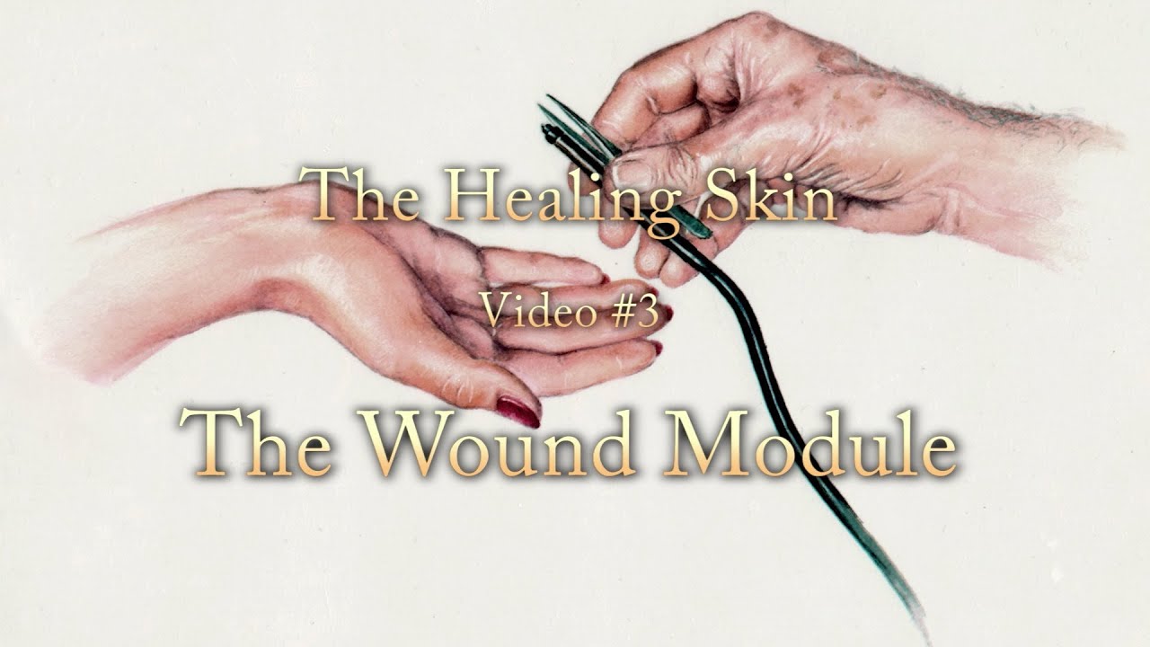 The Healing Skin - Part 3: advanced processes in skin healing after electrolysis - Electrolysis aftercare