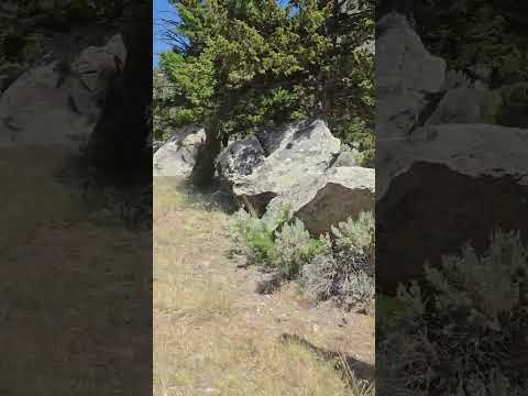 video Canyon Campground Montana