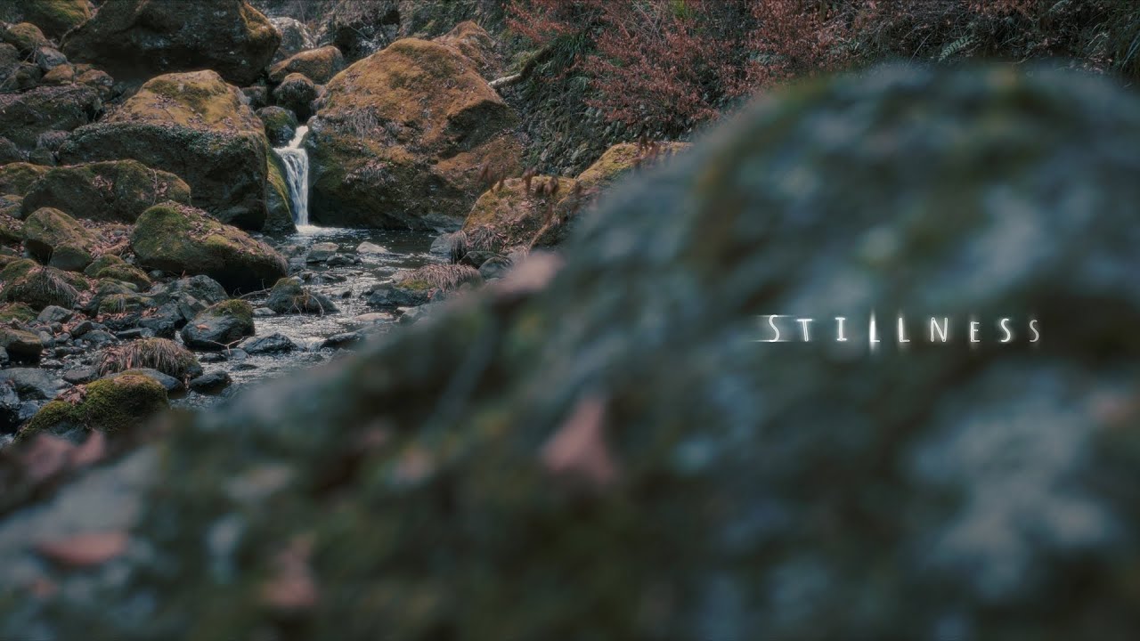 STILLNESS | Stones & Water Art – Quiet Acceptance