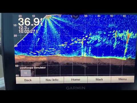Howto change your color palette on a garmin LiveScope
