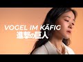 진격의 거인 OST ‘Vogel im Käfig’ 새장 속의 새  | Attack on Titan | cover by 김수