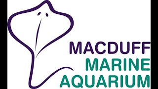 Dive Back In with Macduff Marine Aquarium