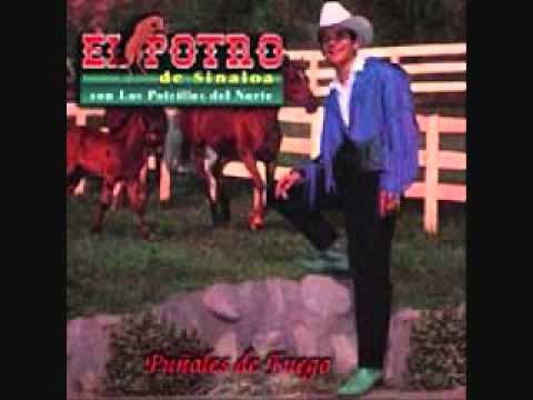 EL POTRO DE SINALOA Palomas Que Andan Volando