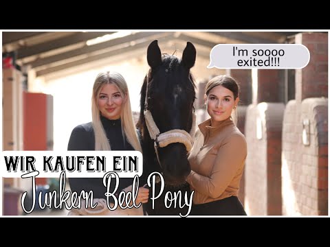 WIR KAUFEN EIN JUNKERN BEEL PONY! 🐴❤️ - ABHOLUNG // ASKINO CONSAS & @Chaosponyy