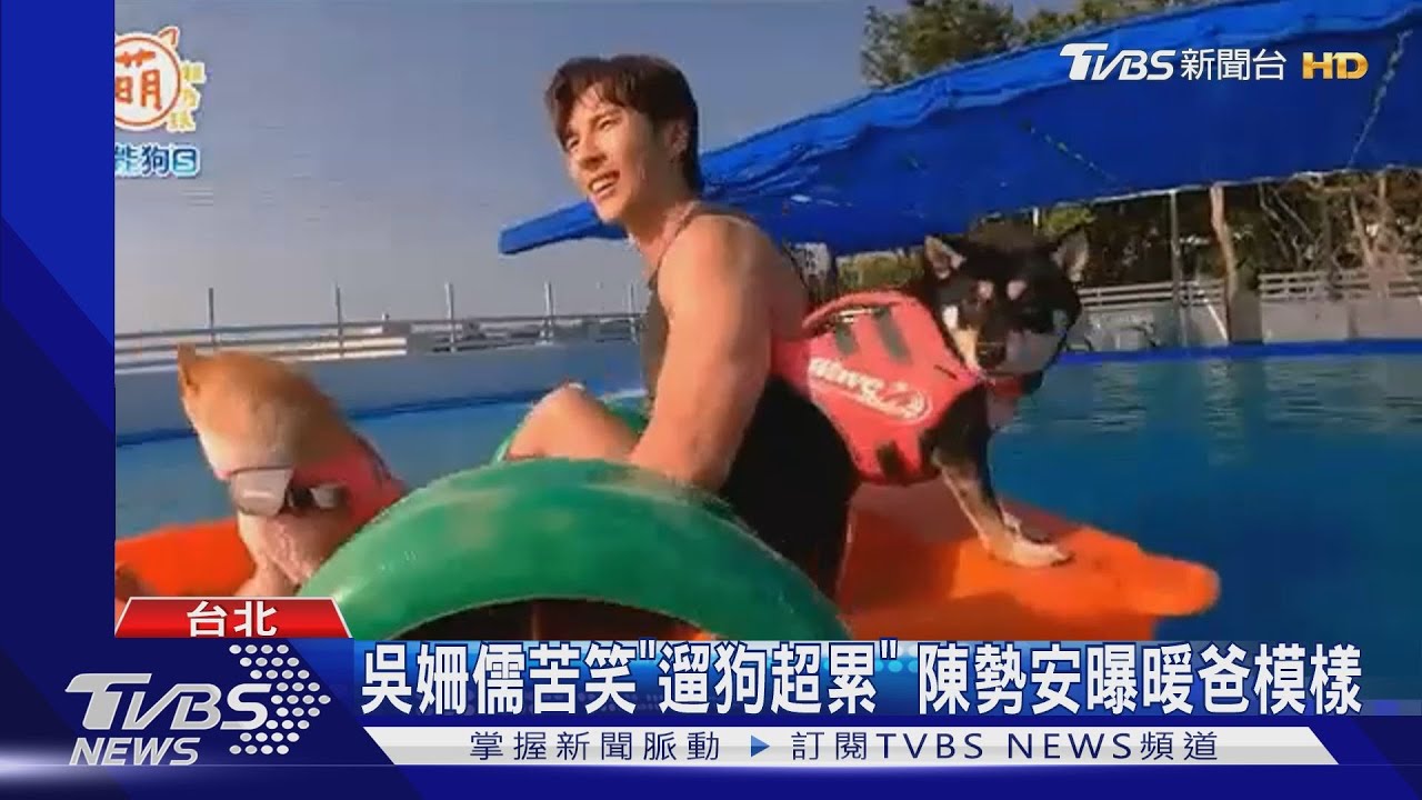 呵喜接客!陳勢安攜2柴犬登《萌寵明星粗乃玩》 下水秀肌肉