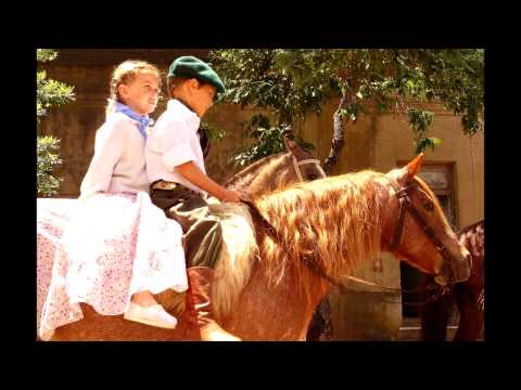 Homenagem ao Cantor Leonardo Gaúcho..