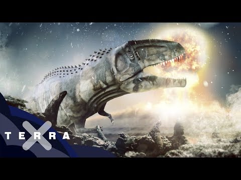 Woran genau starben die Dinos? | Terra X