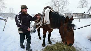 preview picture of video 'Karelia. Russian winter.'