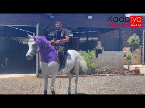 NADEEM EL ARAB . WH JUSTICE BY MAGNUM PSYCHE & OM EL EUPHORIA BY SANADIK EL SHAKLAN