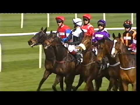 2009 Mildmay Novice Chase - Aintree meeting