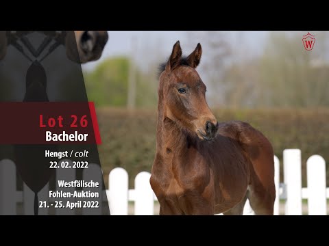 Fohlen-Auktion Lot 26 Hengst v. Bach - Rubin Royal
