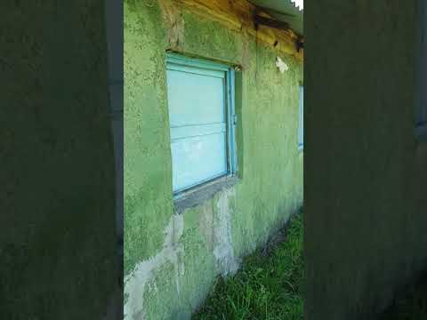 Chilcas y chingolas departamento Florida.....