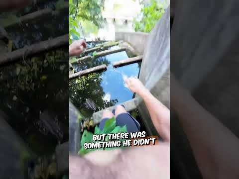 Slippery Moss Hazard 😳😱