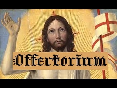 Domine in auxílium meum - Dominica XVI Post Pentecosten (Offertorium)