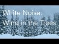 Wind in the Trees | Sounds for Relaxing, Focus or Deep Sleep | Nature White Noise | 8 Hour Video
