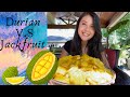 Jackfruit Vs Durian
