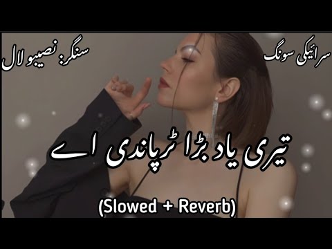Teri Yaad Brra Tarpandi Ey (Slowed + Reverb) تیری یاد بڑا تڑپاندی اے  -  Latest Slow Sad Songs 😢💔