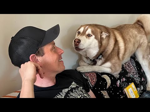Quand on vit avec un chien qui parle mieux l'anglais que hooman