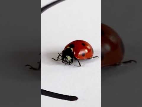 Das ist ein unglaubliches Experiment! Und es funktioniert! #Shorts von ArtioMix