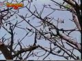 Mera Jeevan Kora Kagaz WhatsApp Status Old Song Kora Kagaz Movie