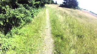 California Coastal Trail - Prairie Creek Redwoods CA