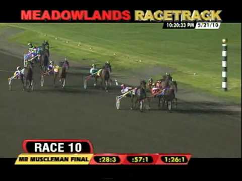 2010 Mr Muscleman Final