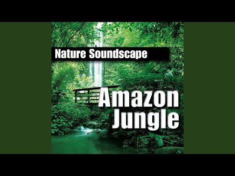 Amazon Jungle (Nature Sounds Only)