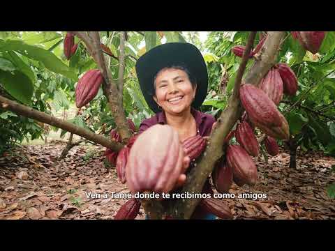 En Tame, Arauca, la paz se vive