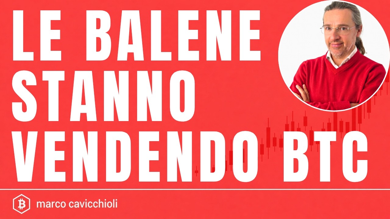 Attenzione: oggi le balene stanno vendendo Bitcoin