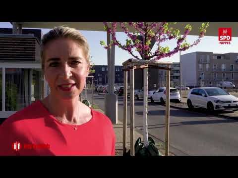 Iris unterwegs in Nippes - heute: im Clouth-Werk