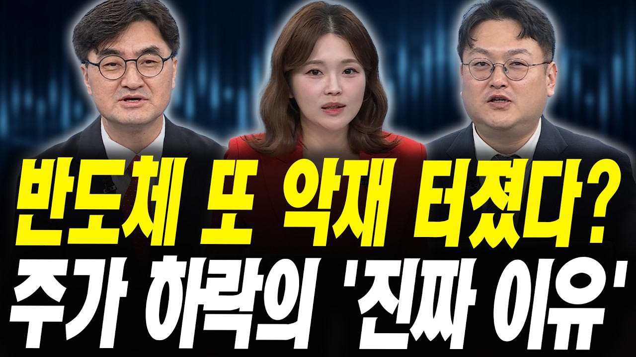 반도체 또 악재 터졌다? 주가 하락의 '진짜 이유' (이완수 그레너리투자자문 대표, 반종민 프레스티지경영