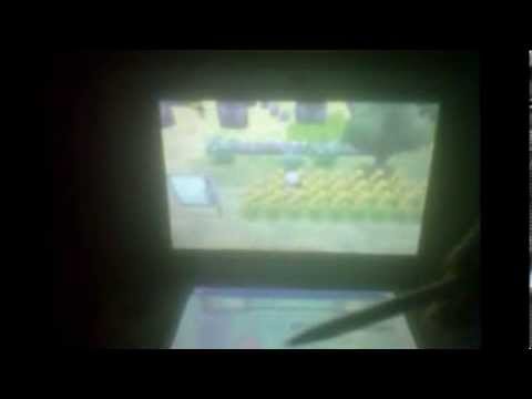 (ALMOST LIVE!) Shiny Snubbull after 506 RE's!