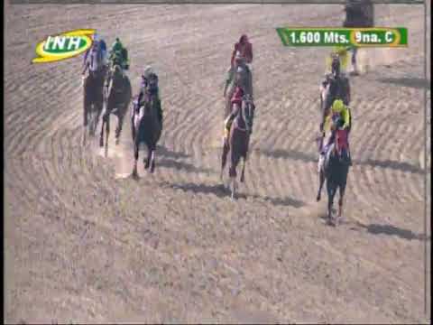 LXXII Clásico "Guardia Nacional Bolivariana "| El de Froix | Hipódromo Internacional La Rinconada