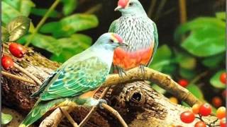 Serge Gainsbourg- Cargo culte 1971