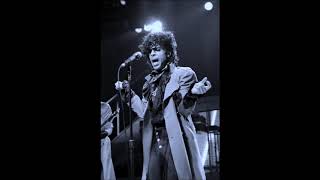 Prince - &quot;International Lover&quot; (live Toledo 1983) **HQ**