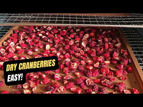 How to Dry Cranberries at Home (Dehydrator Method)