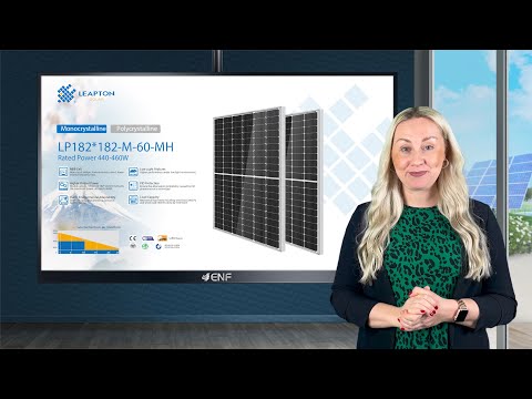 beeIN - Leapton LP182-M-60-MH 460W Solar Module