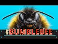Everything You Need to Know About bumblebees!