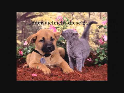 Schuchter Sandra Geburtstag 26.10.1996